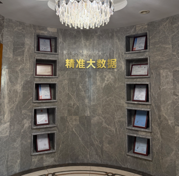 精準大數(shù)據(jù)產(chǎn)業(yè)有限公司