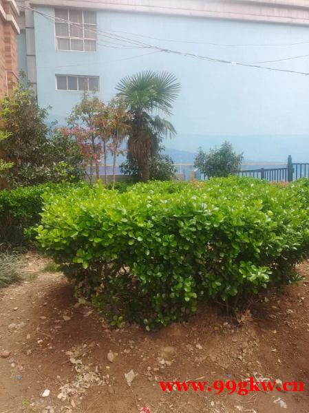 天津市環(huán)境工程專項(xiàng)污染修復(fù)工程乙級資質(zhì)升級有單位需要嗎辦理成 天津市環(huán)境工程專項(xiàng)污染修復(fù)工程乙級資質(zhì)升級有單位需要嗎辦理成