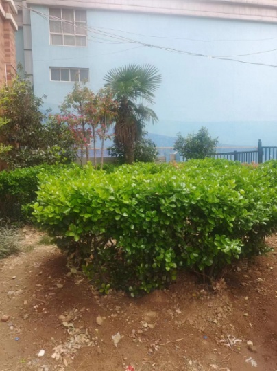 天津市環(huán)境工程專項(xiàng)污染修復(fù)工程乙級資質(zhì)升級有單位需要嗎辦理成