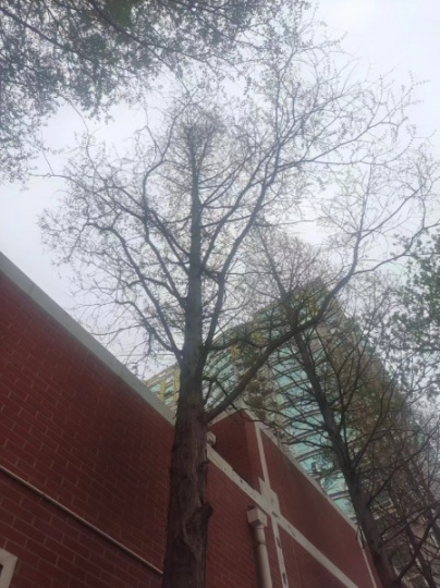 固體廢物處理處置工程乙級資質(zhì)轉(zhuǎn)讓收購需要注意哪些事項